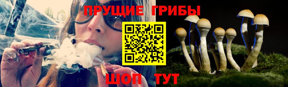 Алапаевск  Псилоцибиновые грибы Psilocybe  как найти   Вход с VPN 